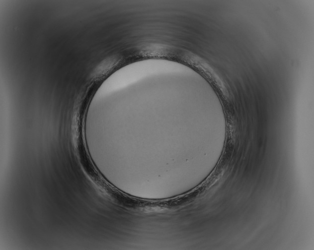X0000086750586200705111656