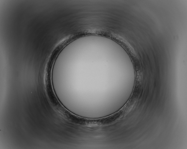 X0000086750587200705111656