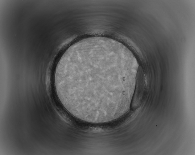 X0000086750588200705111656