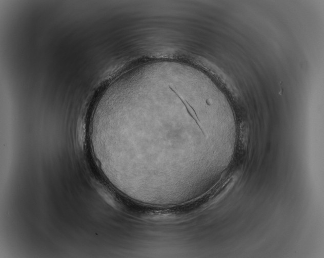 X0000086750589200705111656