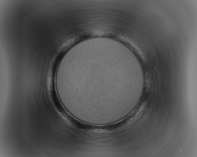 X0000086750590200705111656