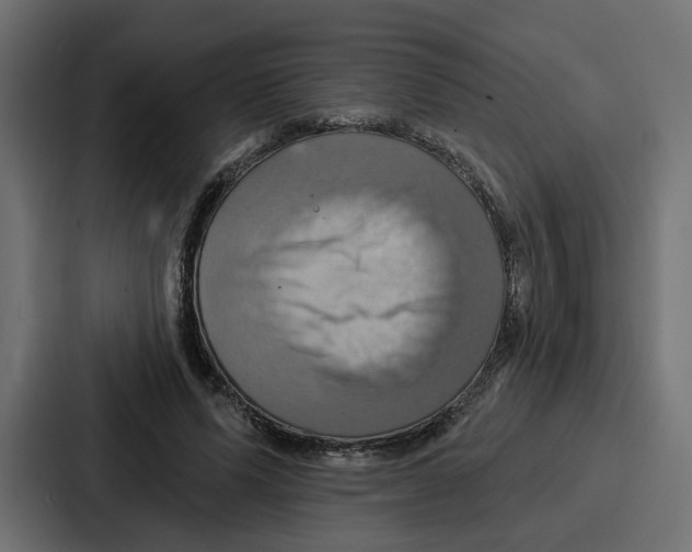 X0000086750591200705111656