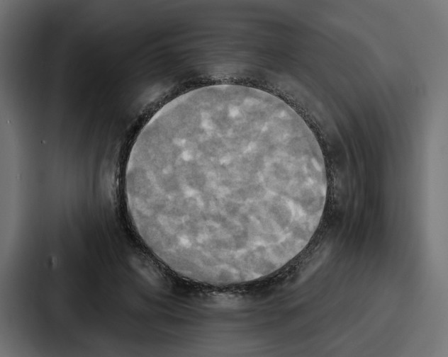 X0000086750592200705111656