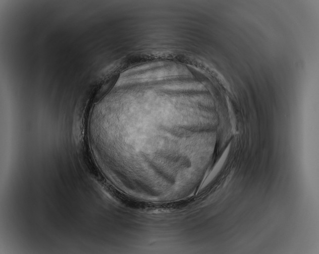 X0000086750593200705111656