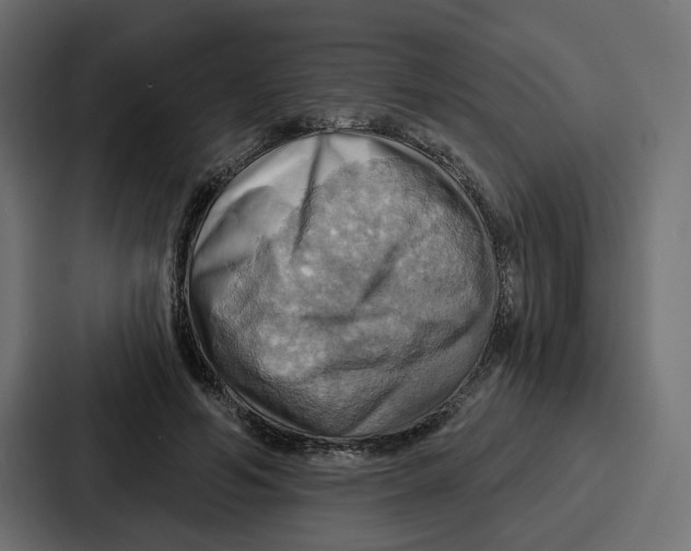 X0000086750594200705111656