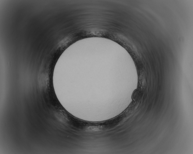 X0000086750595200705111656