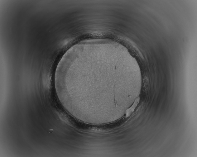 X0000086750596200705111656