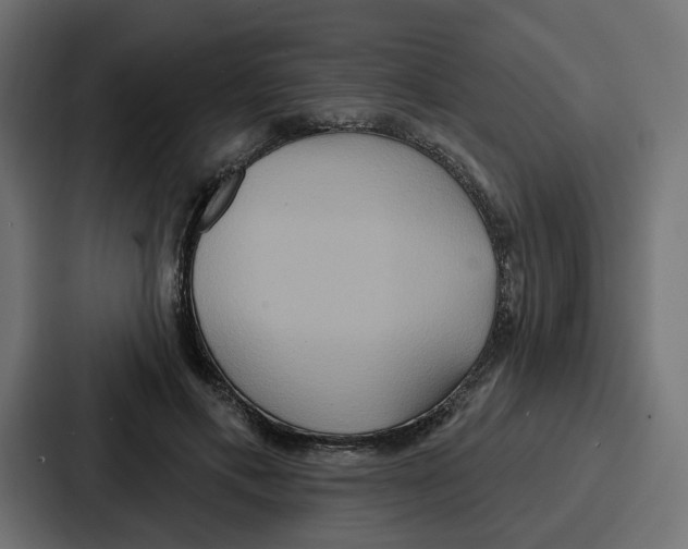 X0000086750597200705111656