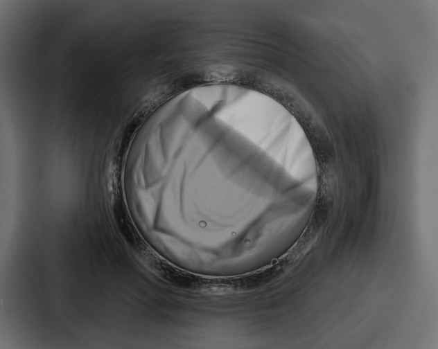 X0000086750598200705111656