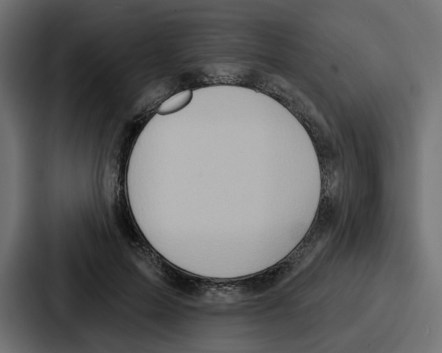 X0000086750599200705111656