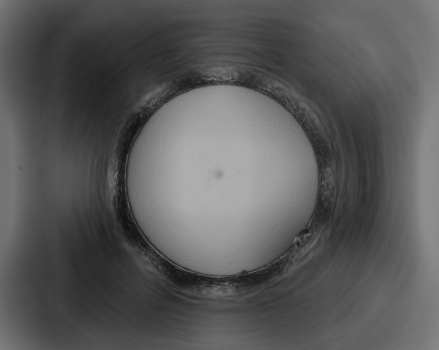 X0000086750600200705111656