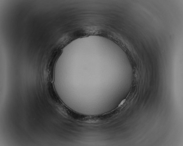X0000086750601200705111656