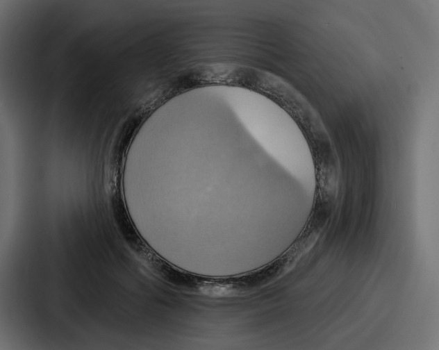X0000086750602200705111656