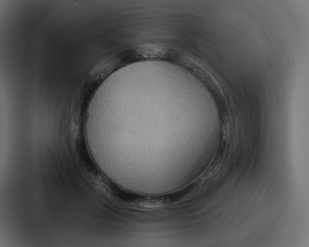 X0000086750604200705111656