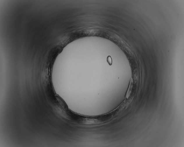 X0000086750605200705111656