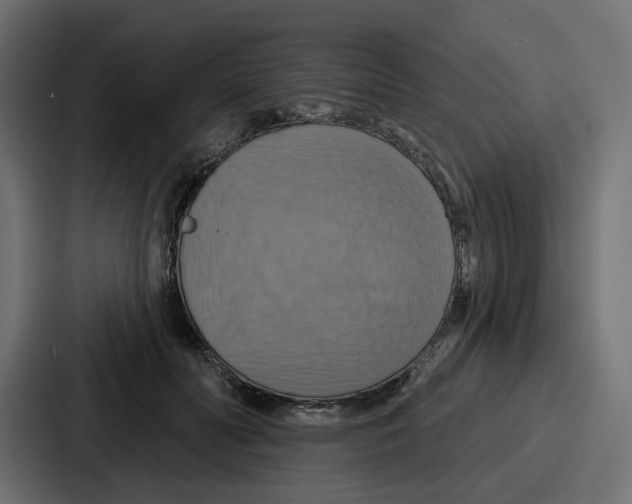 X0000086750606200705111656