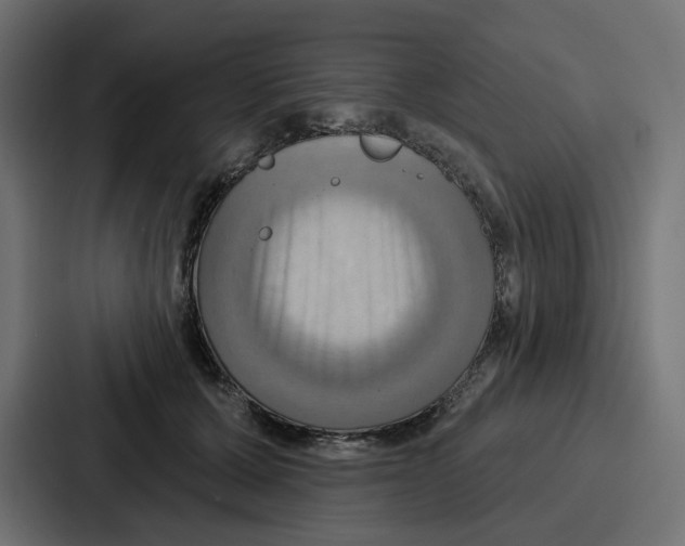 X0000086750607200705111656