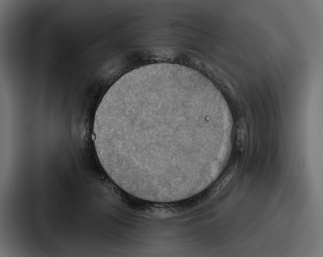 X0000086750608200705111656
