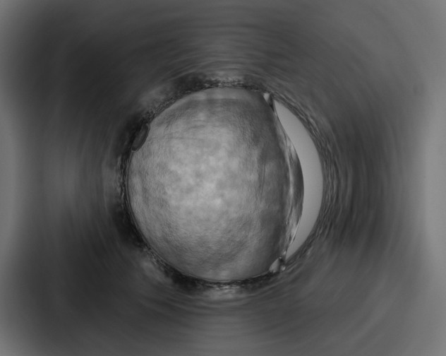 X0000086750609200705111656