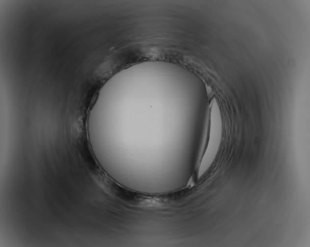X0000086750611200705111656