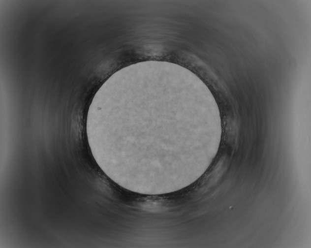 X0000086750612200705111656
