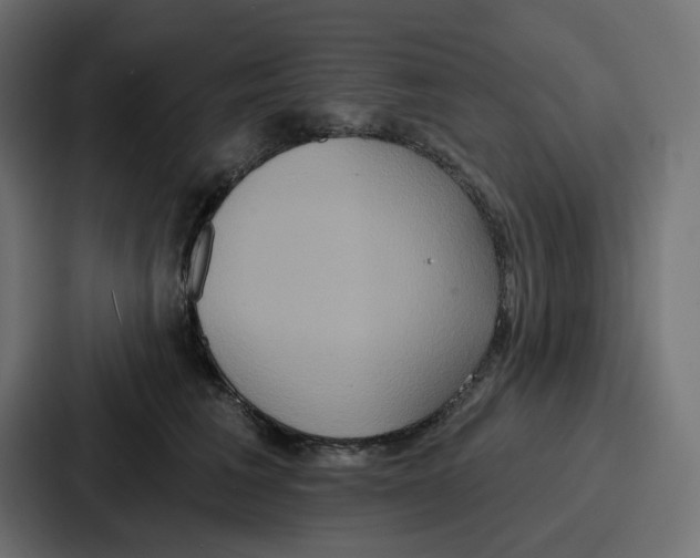 X0000086750613200705111656