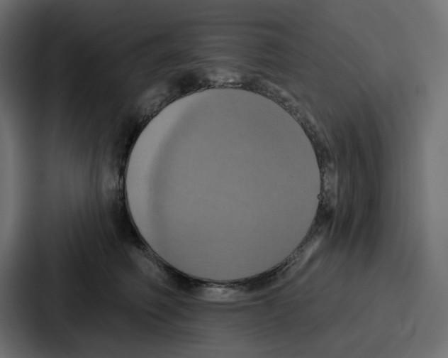 X0000086750614200705111656