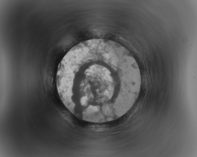 X0000086750615200705111656