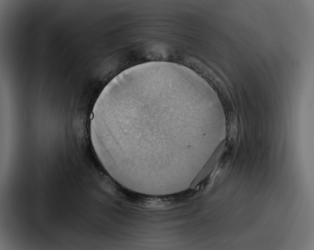 X0000086750616200705111656