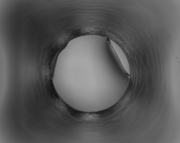 X0000086750617200705111656