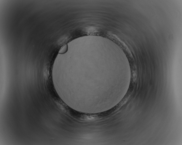 X0000086750618200705111656