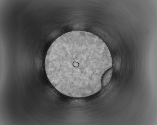 X0000086750619200705111656