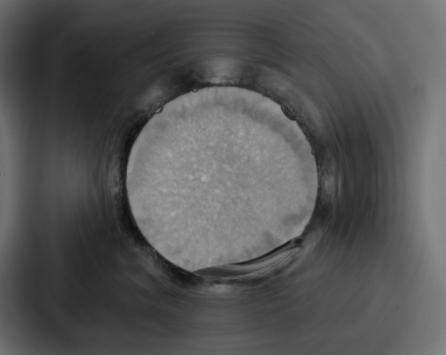 X0000086750620200705111656