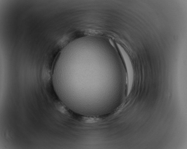 X0000086750621200705111656