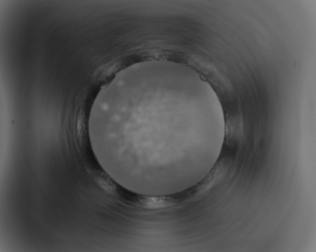 X0000086750623200705111656