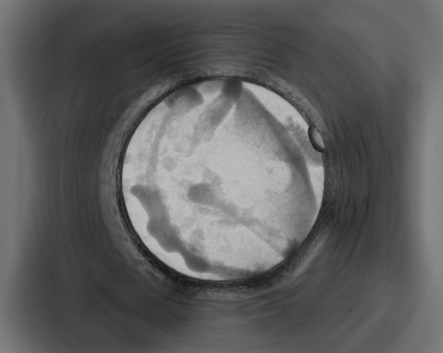 X0000086750625200705111655
