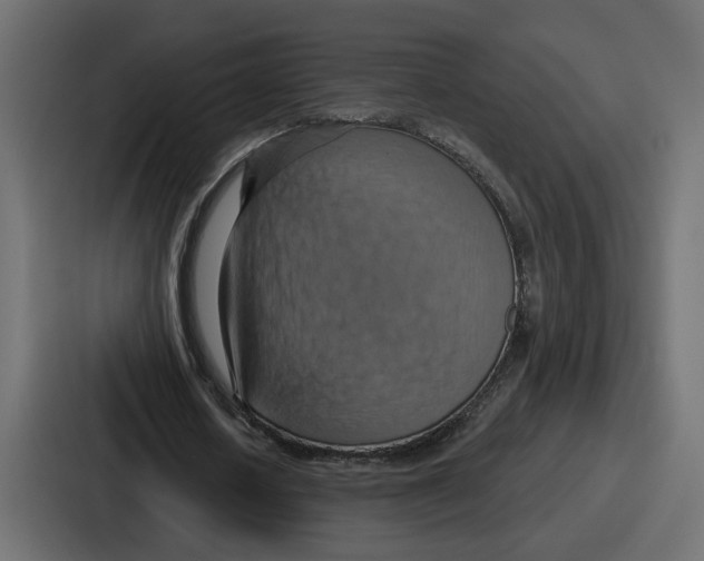 X0000086750626200705111655