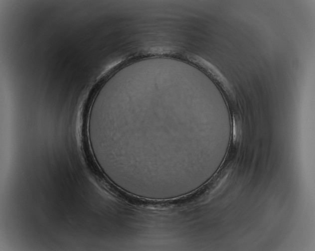 X0000086750627200705111655