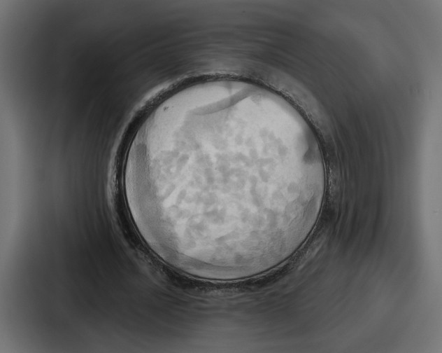 X0000086750628200705111655