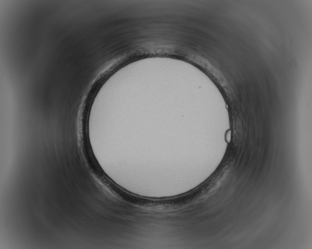 X0000086750629200705111655