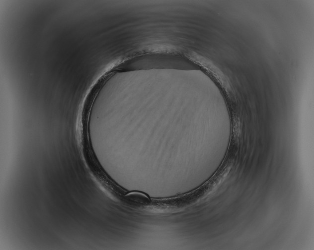 X0000086750630200705111655