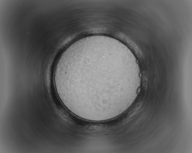 X0000086750631200705111655