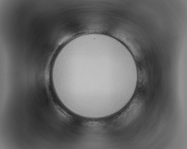 X0000086750632200705111655