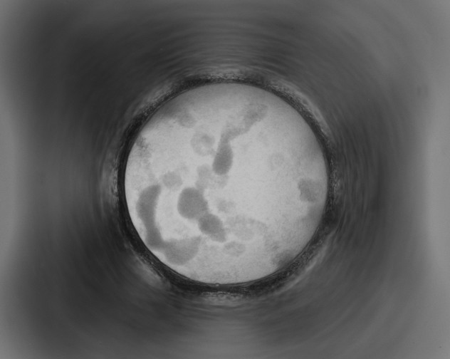 X0000086750633200705111655