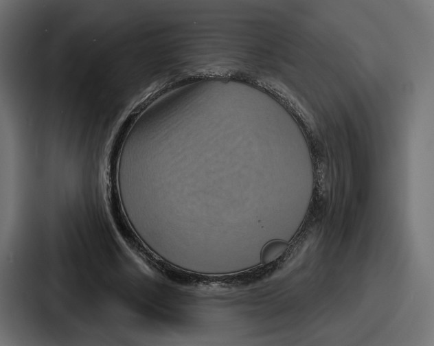 X0000086750634200705111655