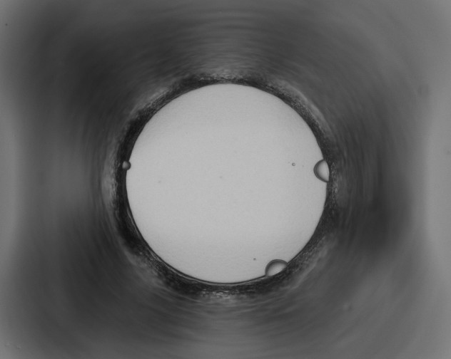 X0000086750635200705111655