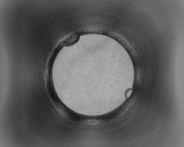 X0000086750636200705111655