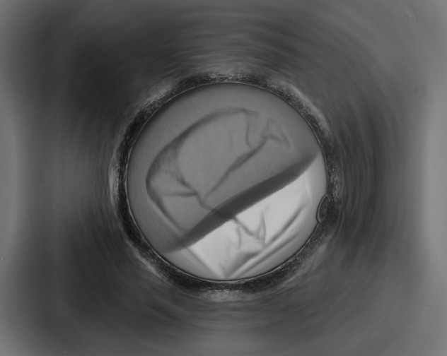 X0000086750637200705111655