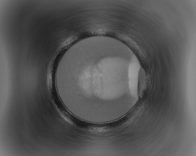 X0000086750638200705111656