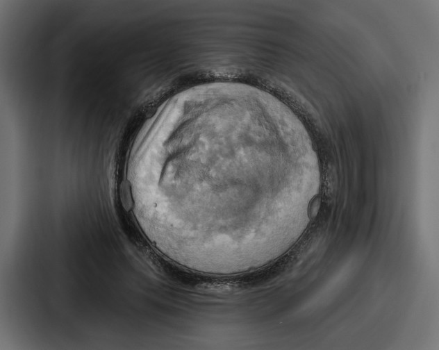 X0000086750639200705111656